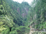 0009 Waitawheta Gorge_thumb.gif